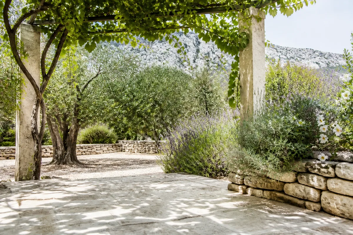 Terrasse en pierre calcaire claire ombrée par une treille de vigne